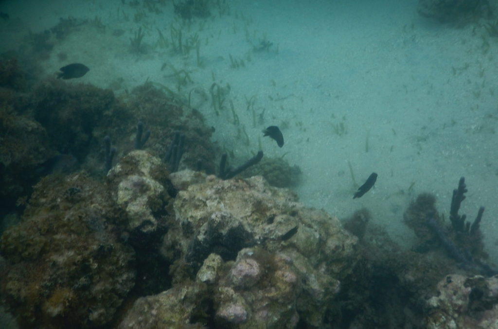 snorkeling spots