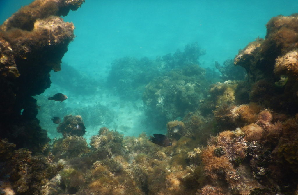 snorkeling spots