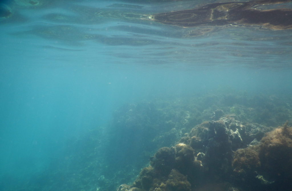 caribbean snorkeling