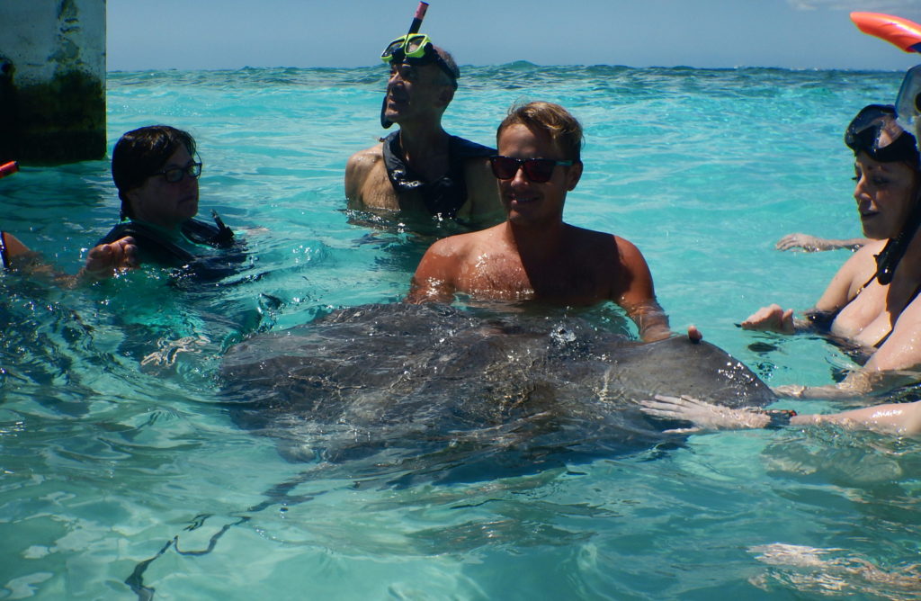 stingray city grand cayman