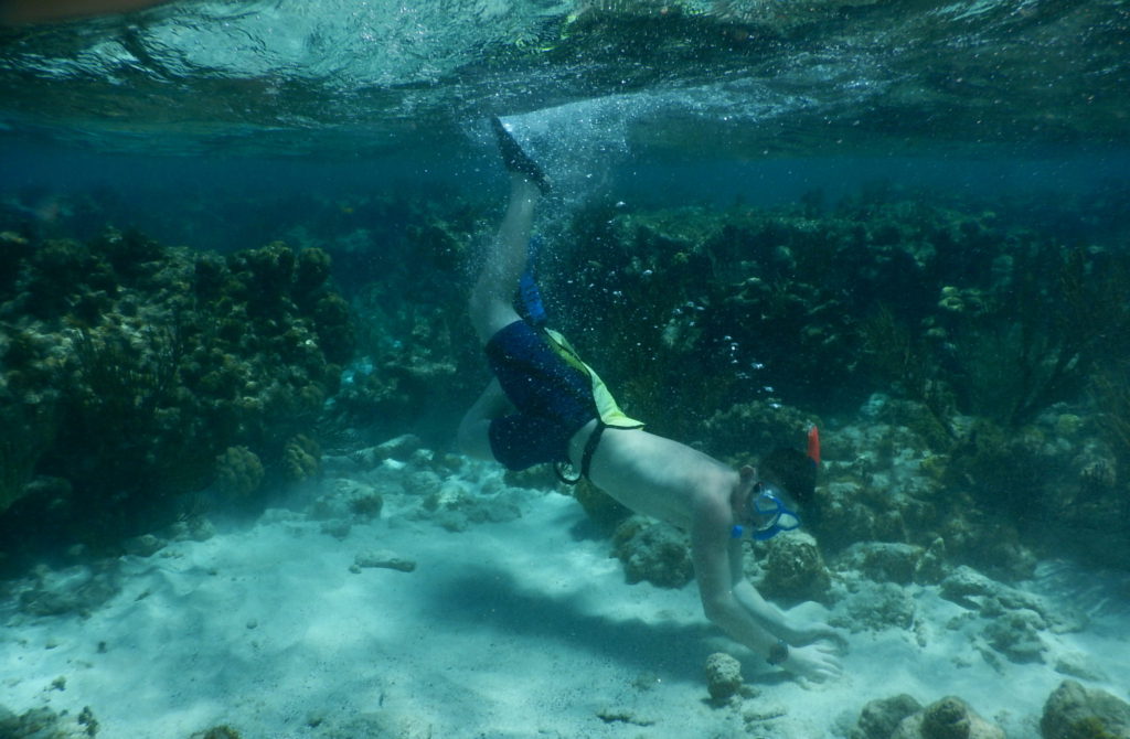 snorkeling caribbean
