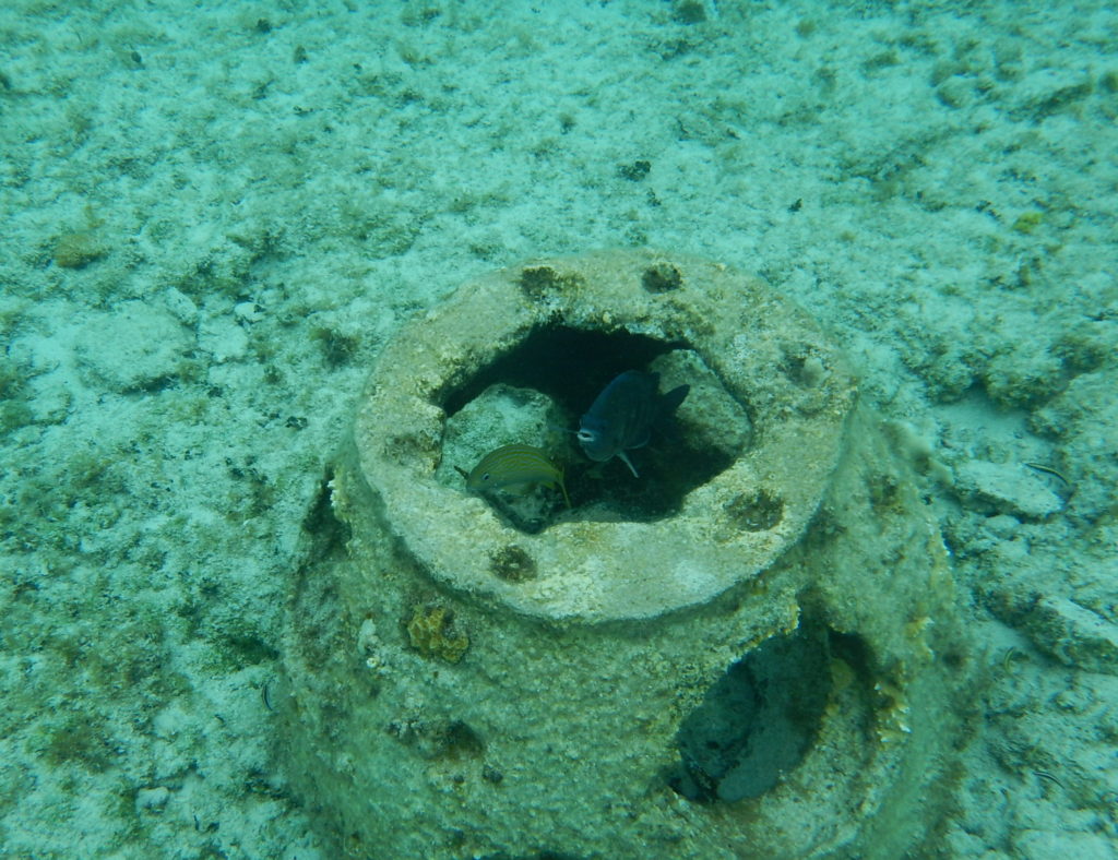 snorkeling