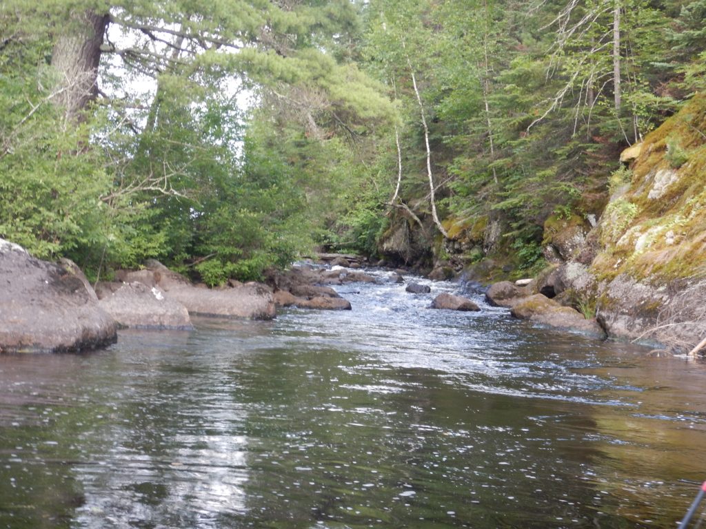 BWCA stream photos