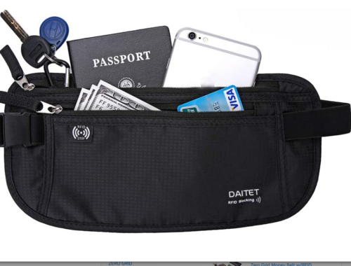 passport travel belt