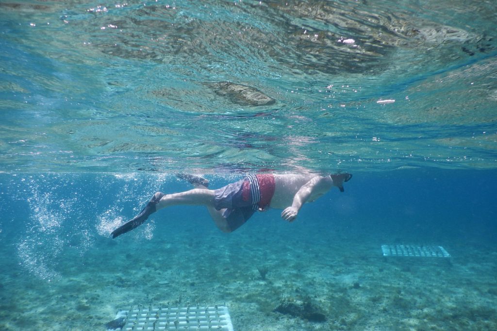 Cozumel Mexico snorkeling