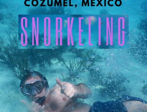 SNORKELING COZUMEL MEXICO