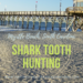 Myrtle Beach, SC Sharktooth Hunting