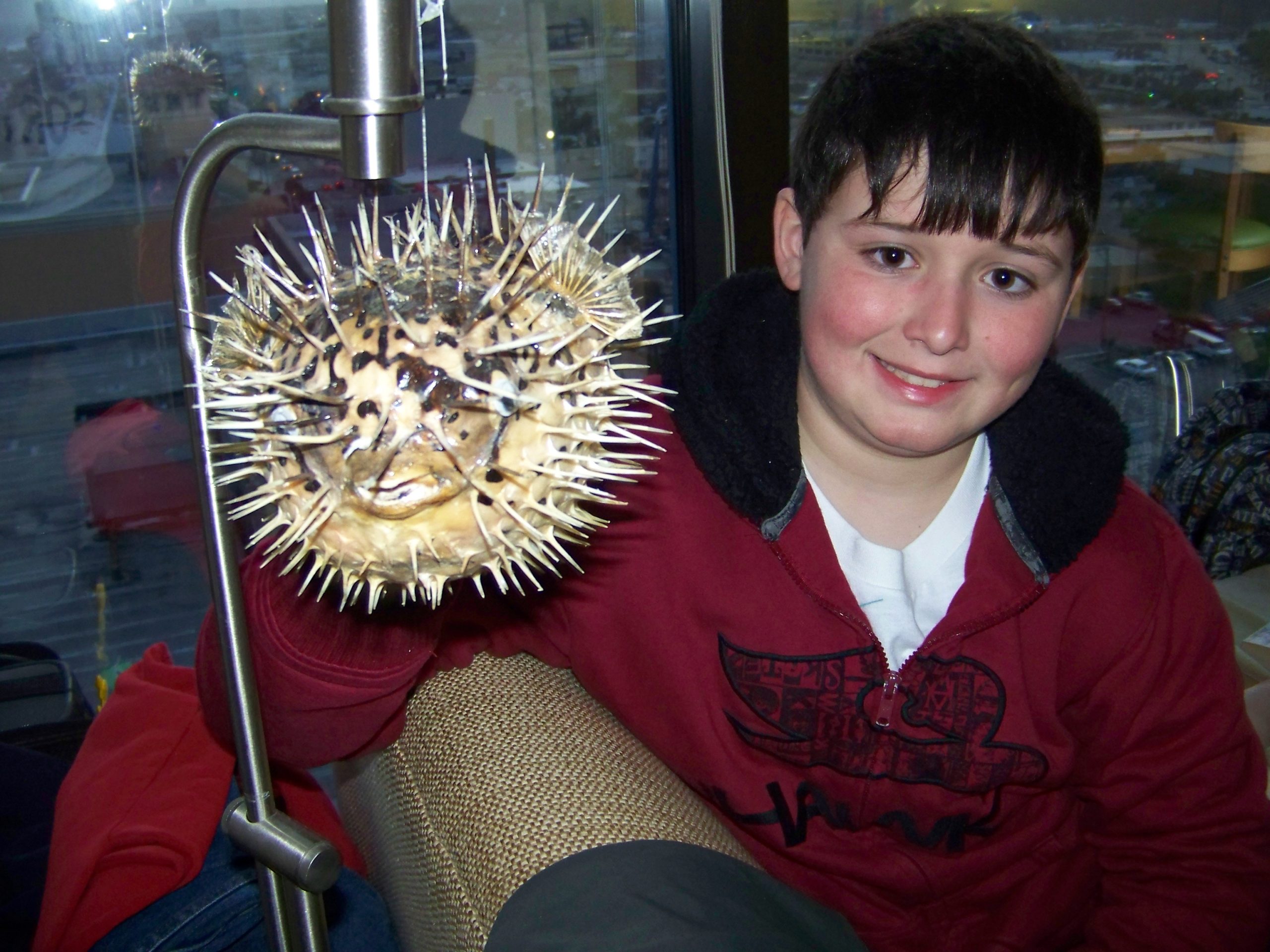 MYRTLE BEACH, SC ~ SHARK TEETH ADVENTURE - Inspirational Travel Adventures