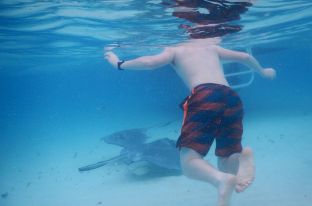 Stingray City