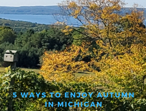 5 ways to enjoy atumn in michigan lake scene