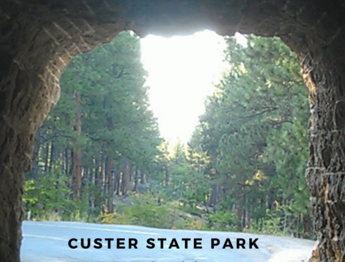 CUSTER STATE PARK TUNNEL