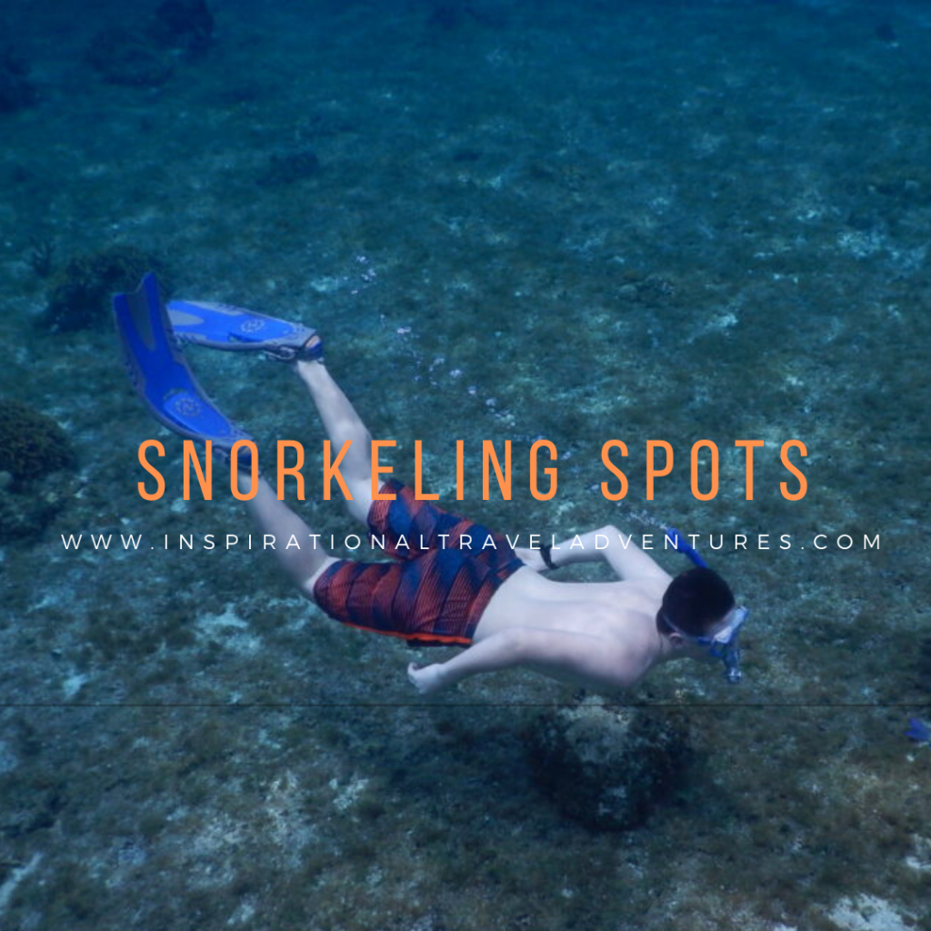 This image has an empty alt attribute; its file name is snorkeling-spots-13-1-1024x1024.png