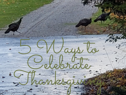 5 Ways to Celebrate Thanksgiving besides hosting a large gathering