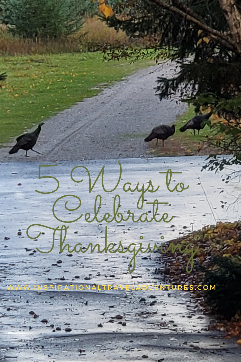 5 Ways to Celebrate Thanksgiving besides hosting a large gathering