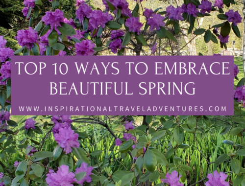 TOP 10 WAYS TO EMBRACE BEAUTIFUL SPRING