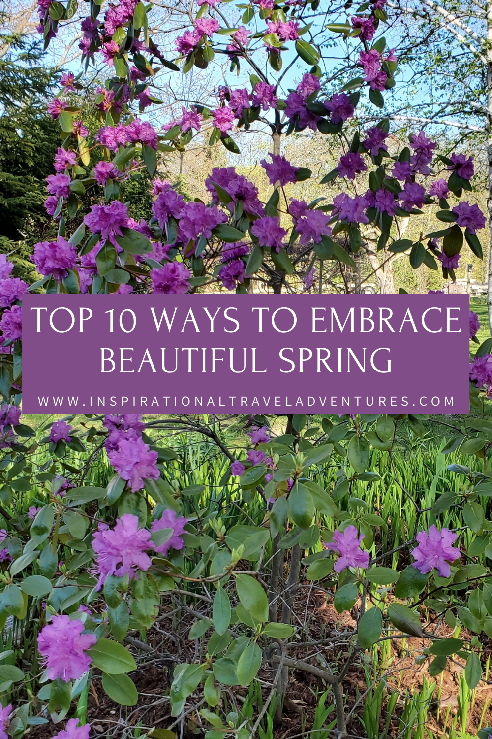 TOP 10 WAYS TO EMBRACE BEAUTIFUL SPRING
