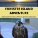 Forester Island Adventure