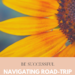 BE SUCCESSFUL NAVIGATING ROAD-TRIP TRAVEL RESTRICTIONS