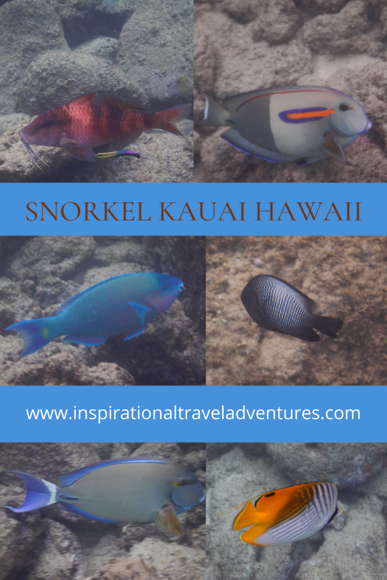 SNORKEL KAUAI HAWAII Inspirational Travel Adventures