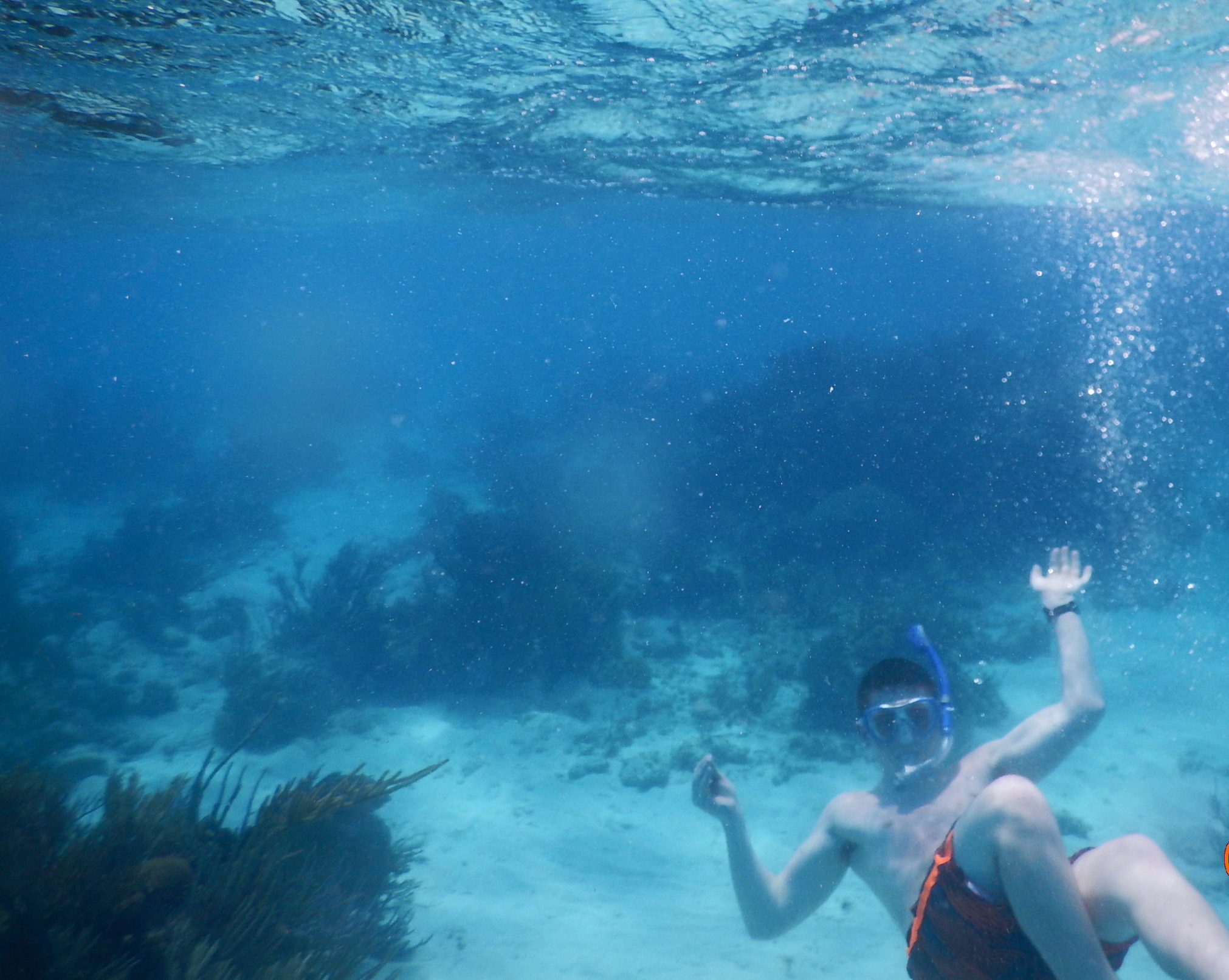 Grand Cayman Stingray City