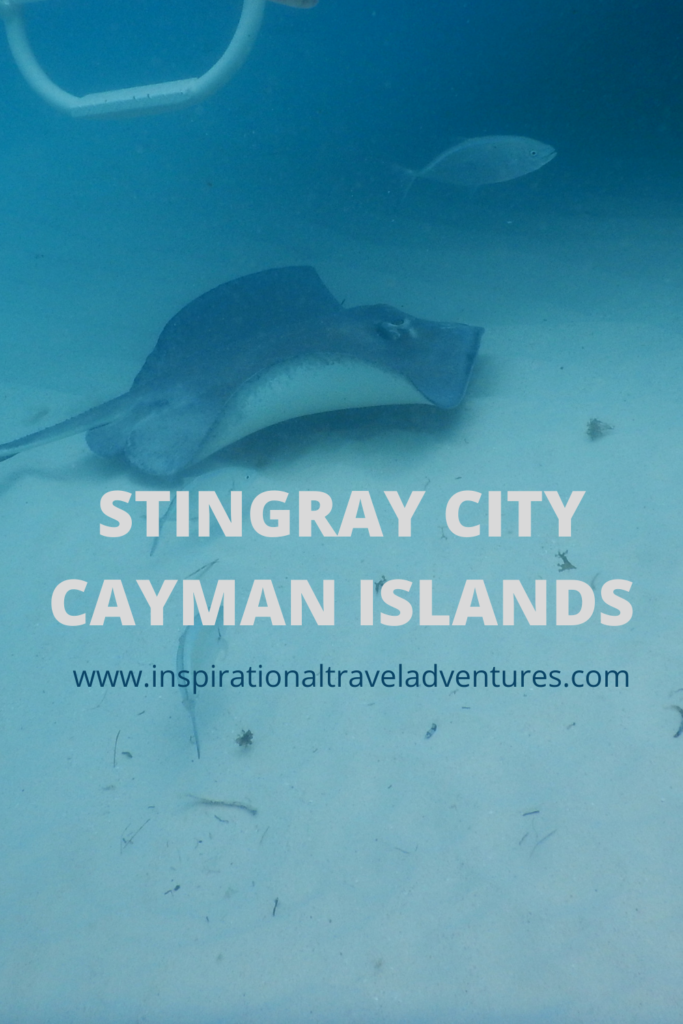 STINGRAY CITY CAYMAN ISLANDS