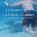 STINGRAY CITY CAYMAN ISLANDS