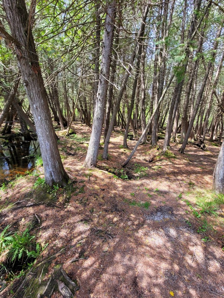 LEGEND of KITCHITIKIPI near Manistique Michigan Inspirational