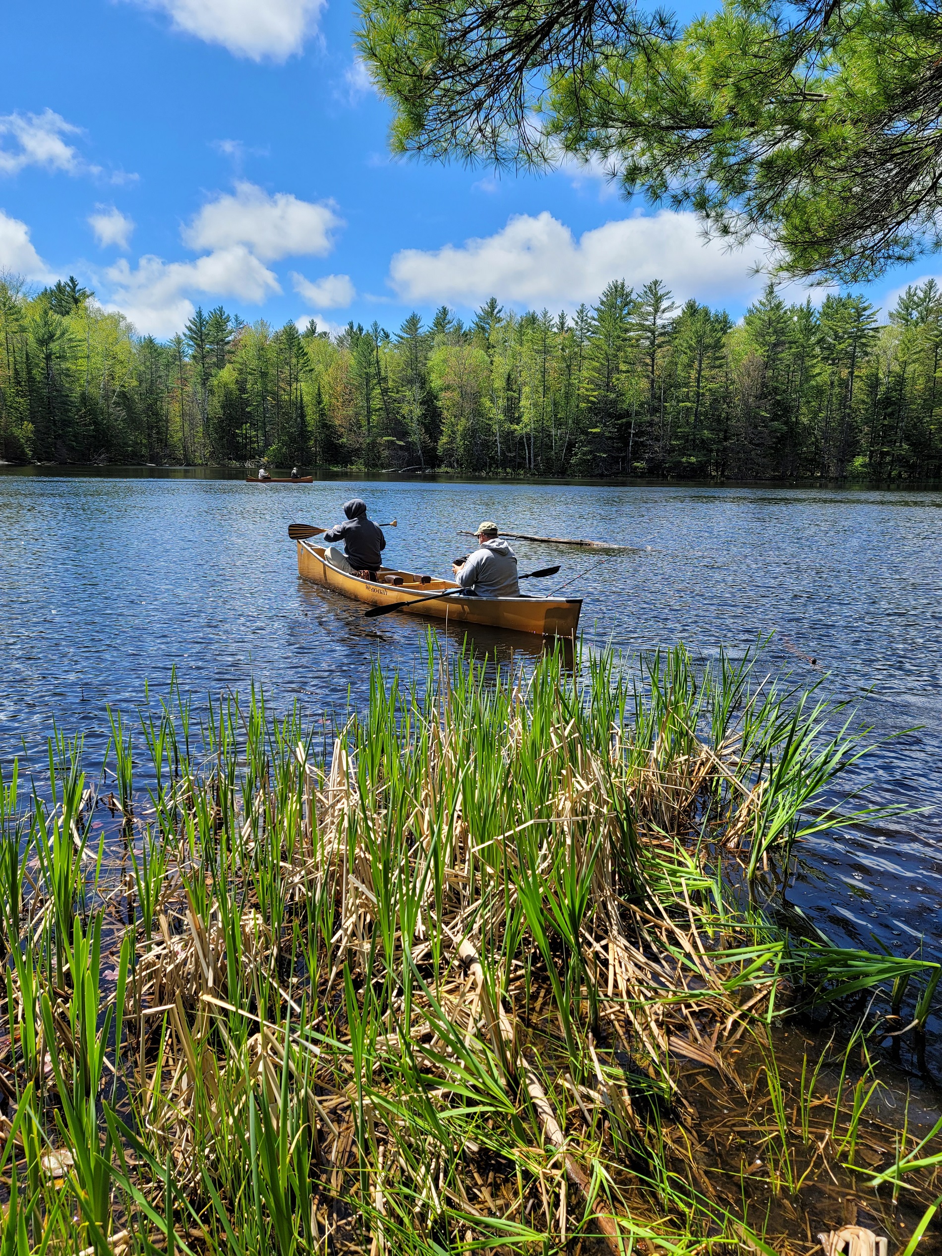 MICHIGAN UPPER PENINSULA CAMPING NEAR MUNISING