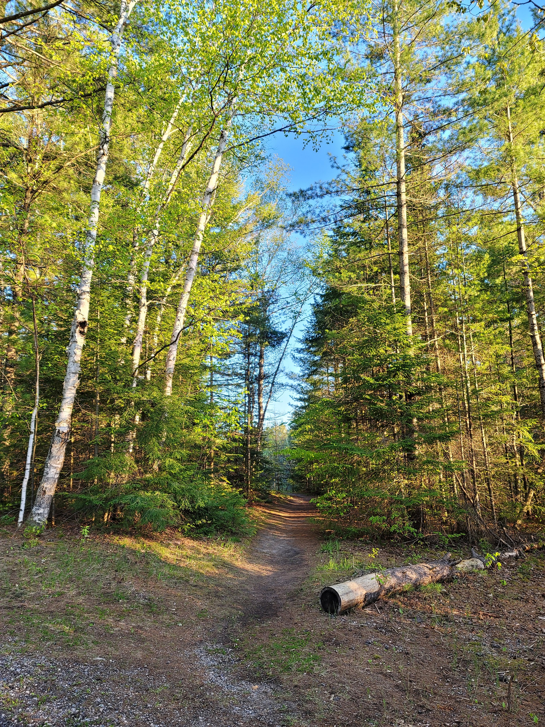 UPPER PENINSULA MICHIGAN CAMPING NEAR MUNISING