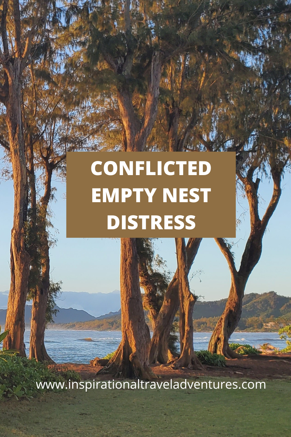 CONFLICTED EMPTY NEST DISTRESS