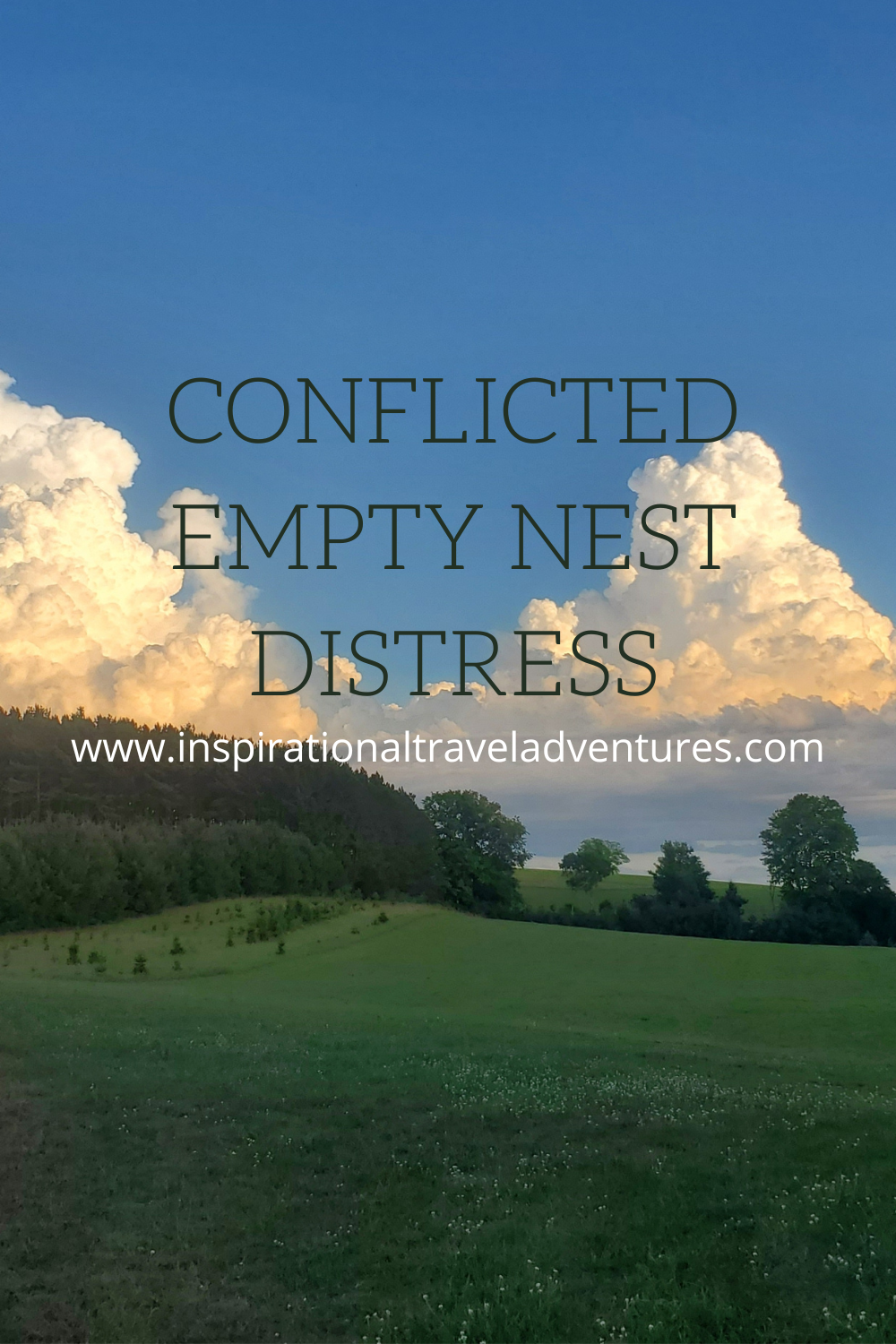 CONFLICTED EMPTY NEST DISTRESS
