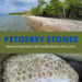 PETOSKEY STONES