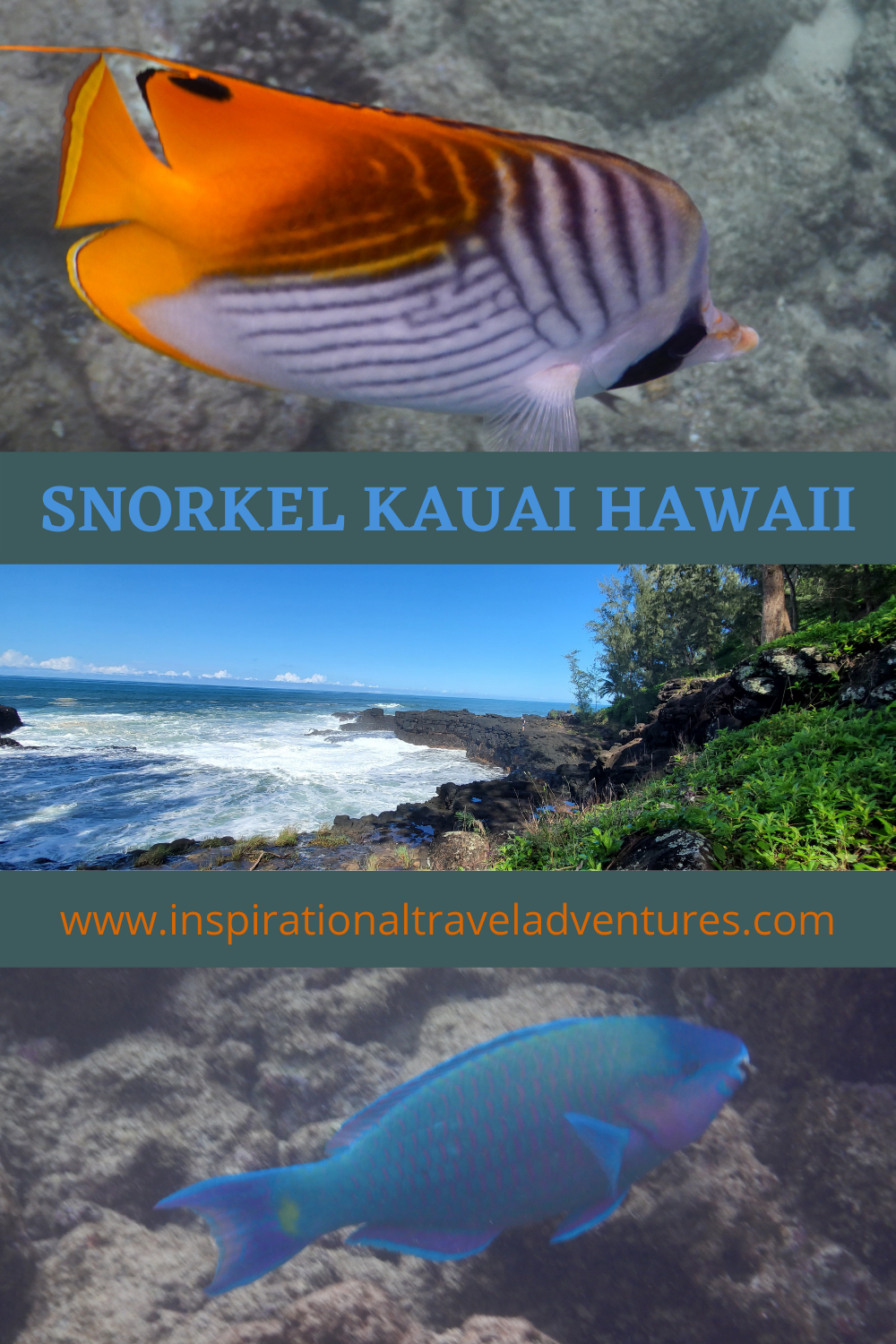 SNORKELING KAUAI HAWAII