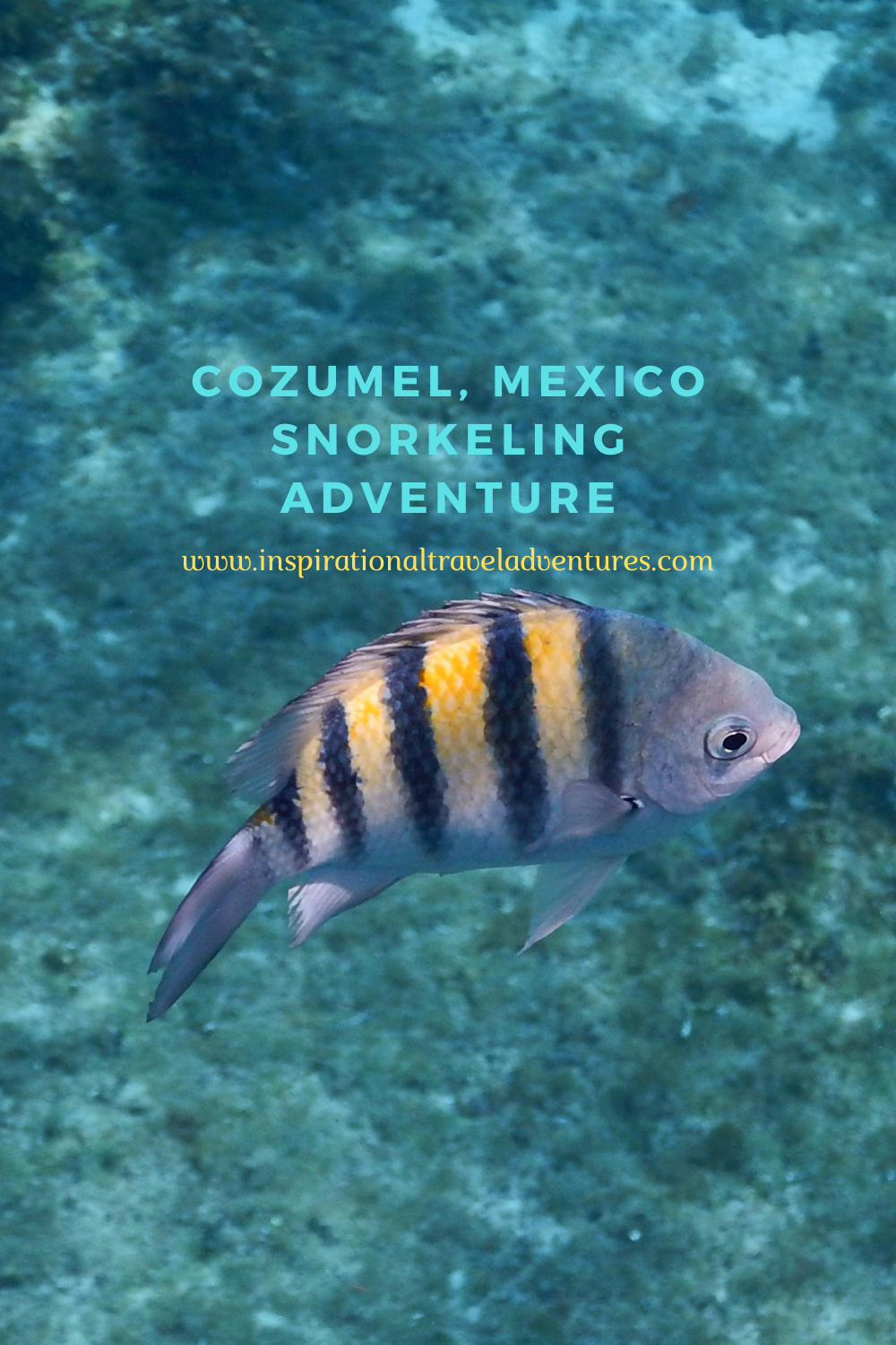 COZUMEL MEXICO SNORKELING ADVENTURE