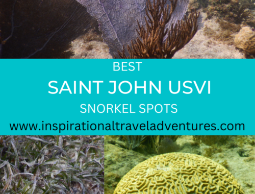 ST JOHN USVI SNORKEL SPOTS