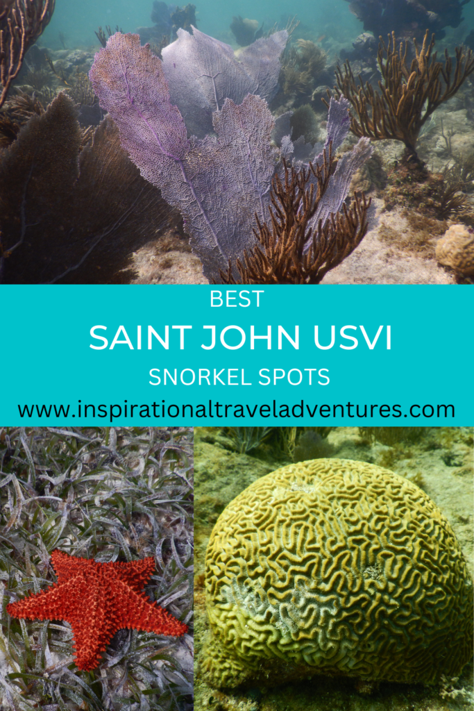 BEST SAINT JOHN USVI SNORKEL SPOTS Inspirational Travel Adventures