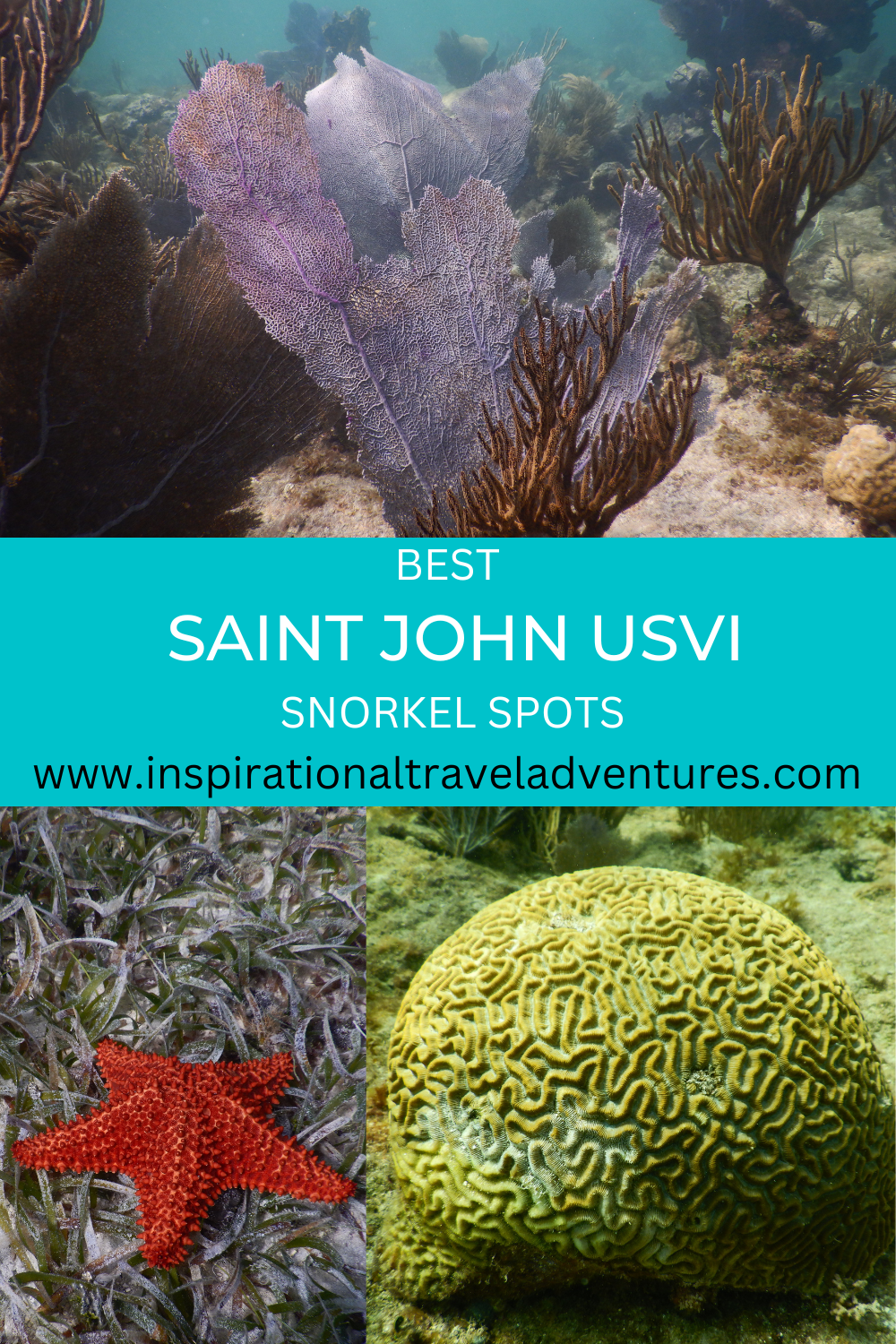 ST JOHN USVI SNORKEL SPOTS