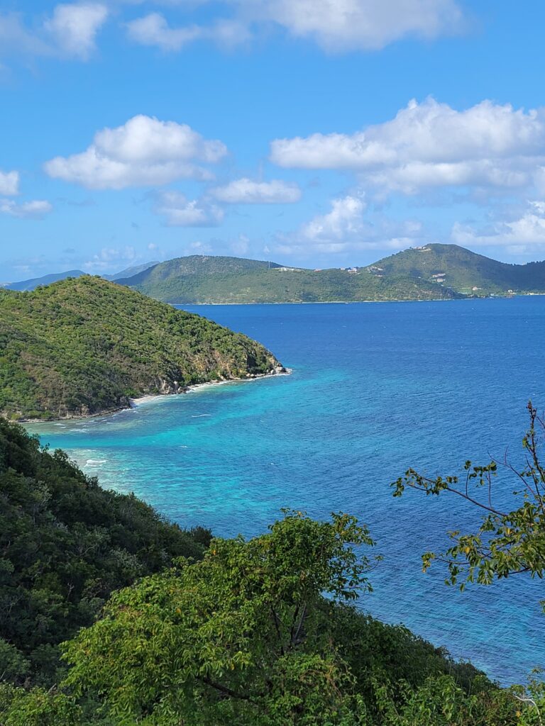BEST SAINT JOHN USVI SNORKEL SPOTS Inspirational Travel Adventures