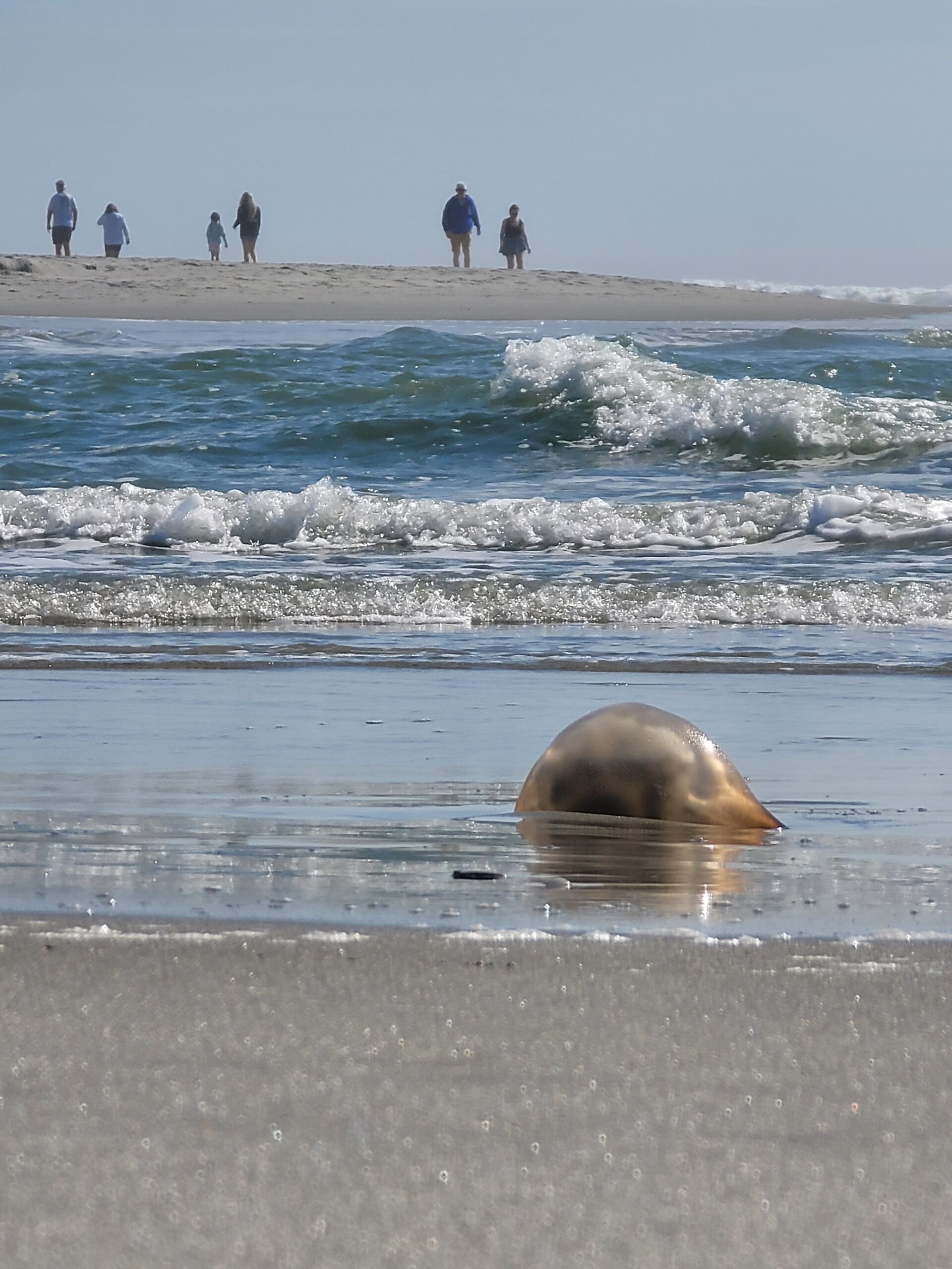 MYRTLE BEACH SOUTH CAROLINA