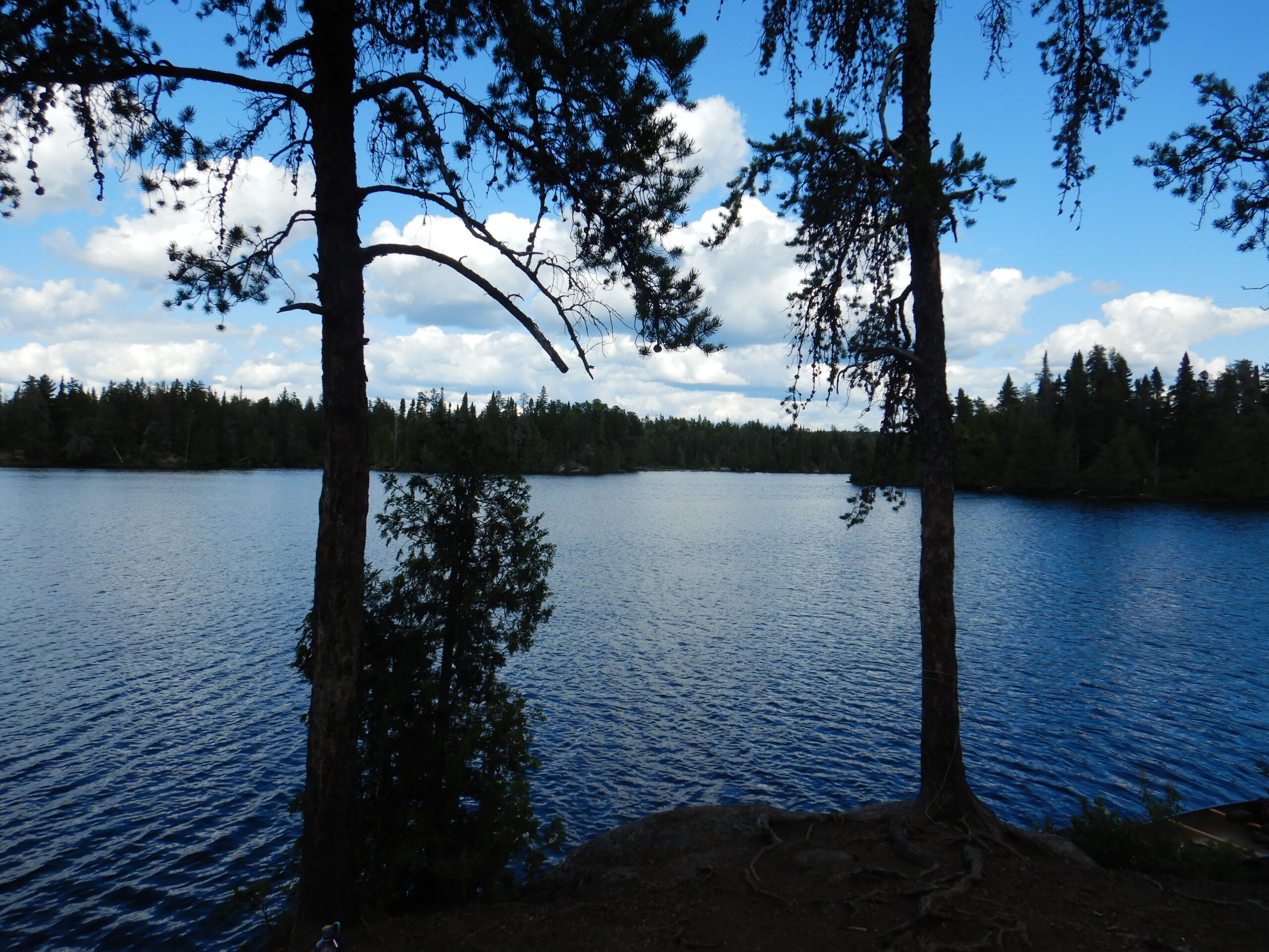 BWCA twilight