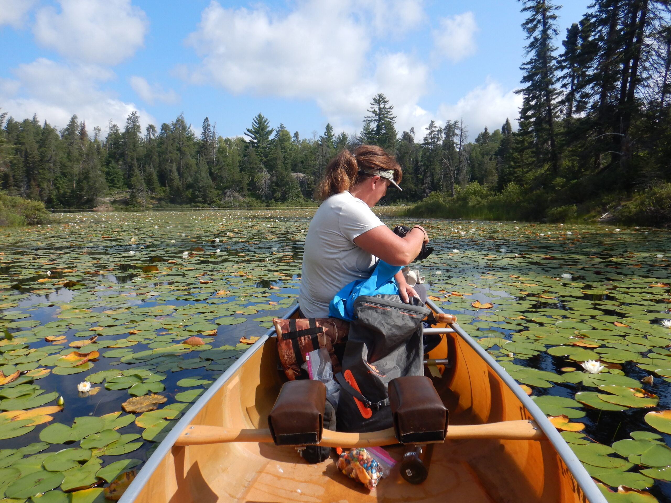 BWCA - WILDERNESS ADVENTURE