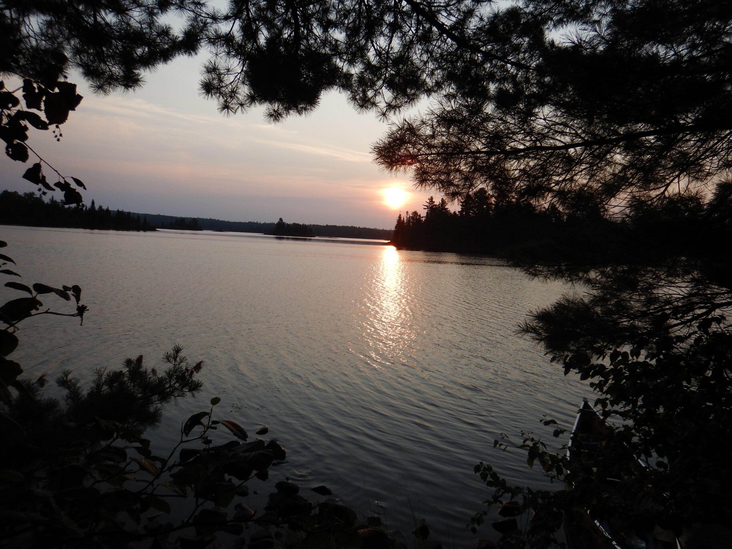 BWCA beauty