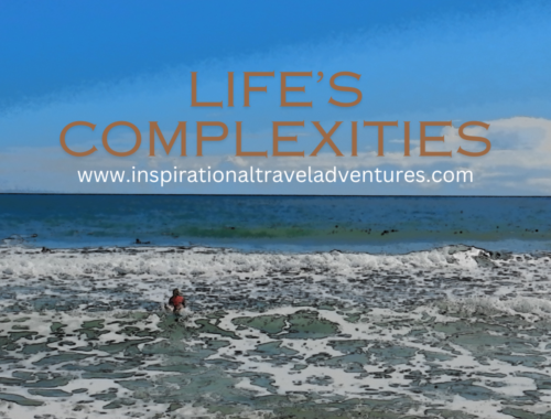 Life's Complexities