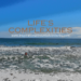 Life's Complexities